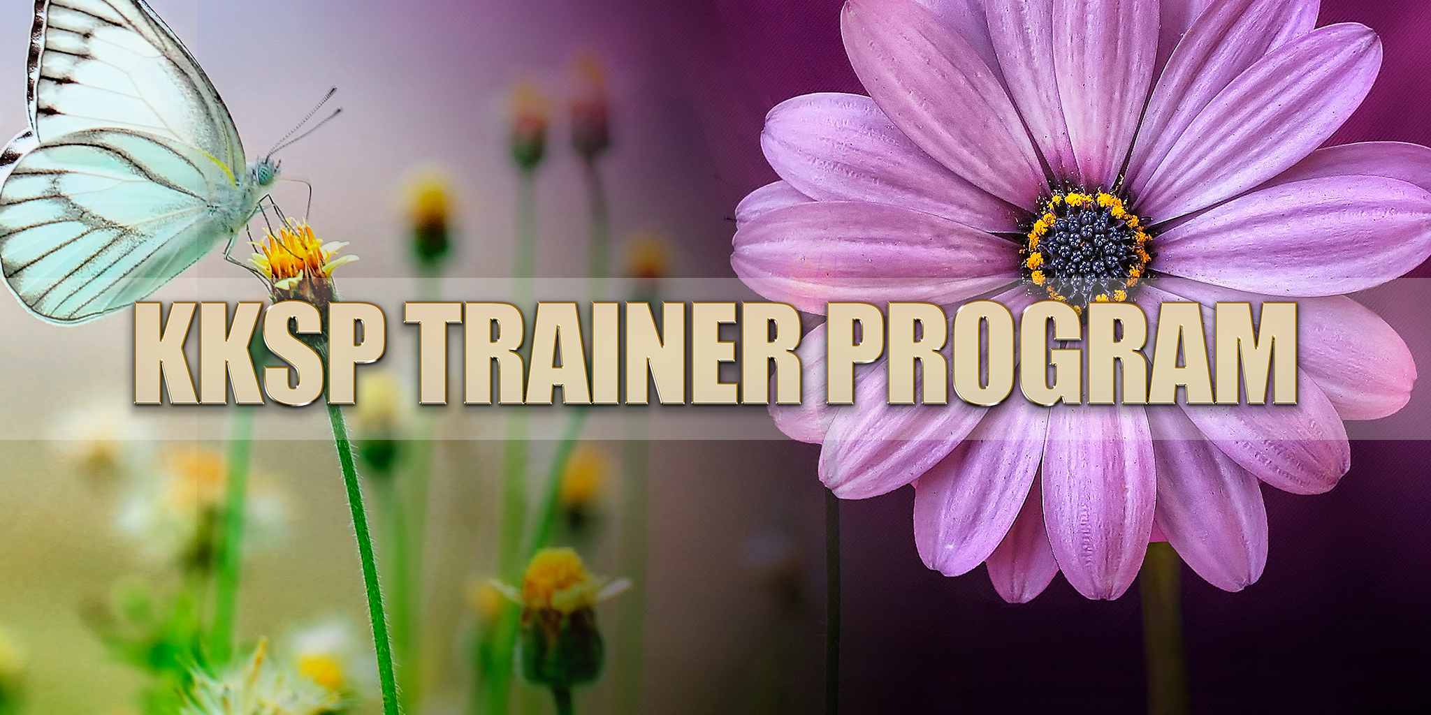 KKSP Trainer Program